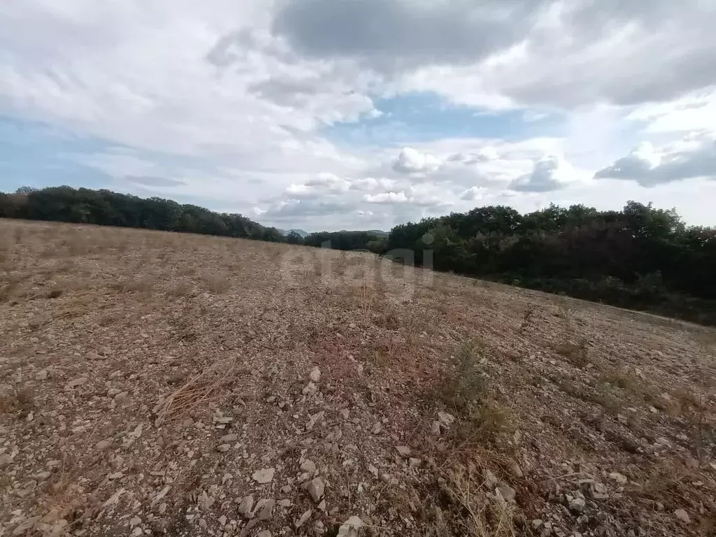 Участок в Краснодарский край, Геленджик городской округ, с. Адербиевка ... - Фото 1