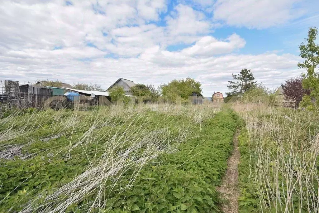 Участок в Ульяновская область, Новоульяновск городской округ, с. ... - Фото 0