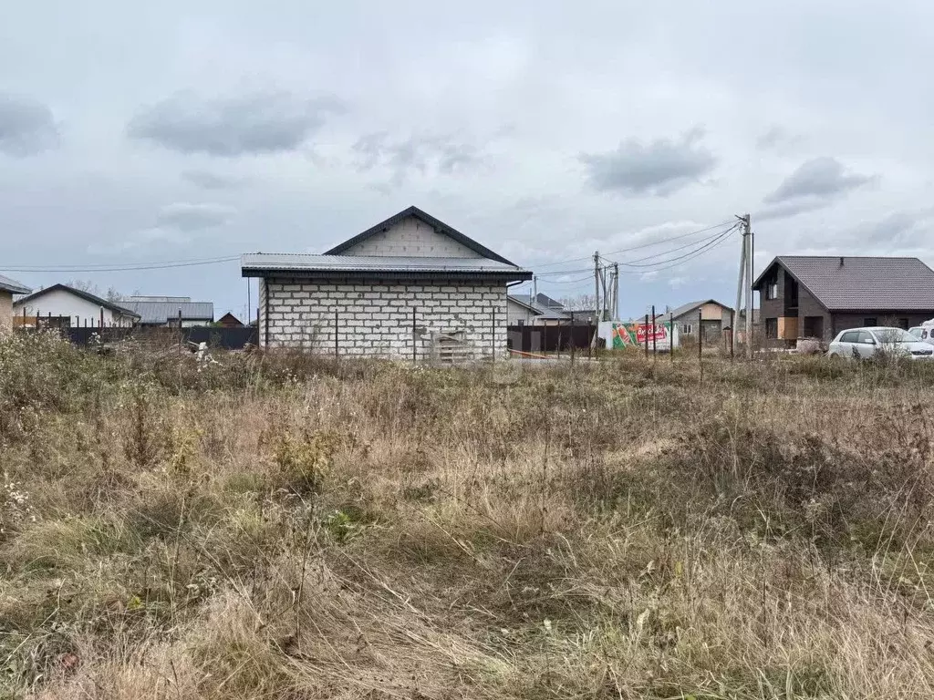 Участок в Новосибирская область, Новосибирский район, Морской ... - Фото 1