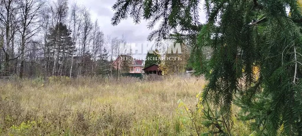 Участок в Московская область, Солнечногорск городской округ, д. ... - Фото 1