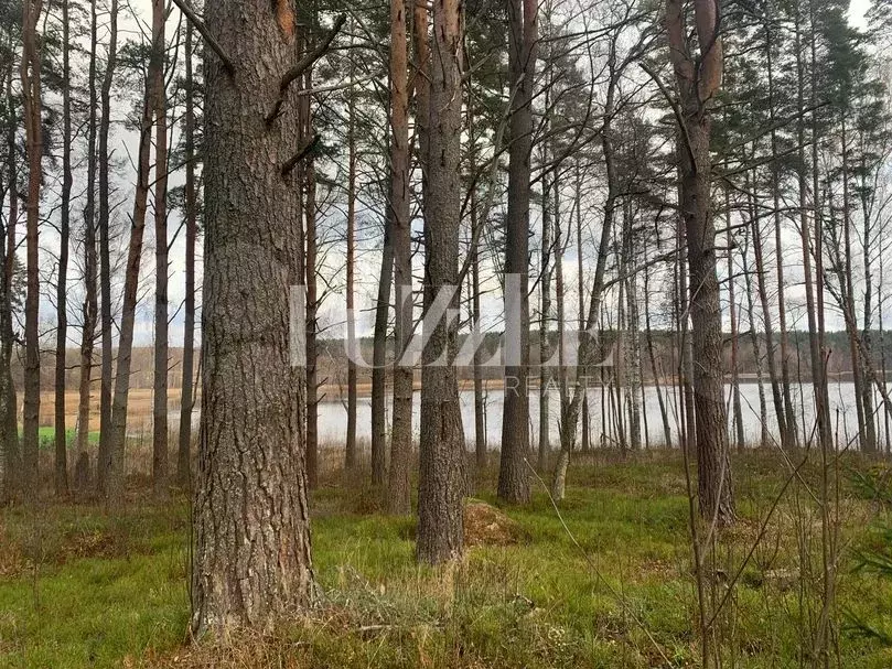 Участок 5 сот. (СНТ, ДНП) - Фото 0