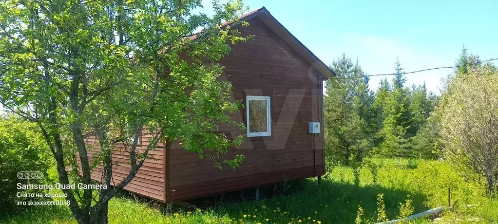 Дача 30 м на участке 8 сот. - Фото 0