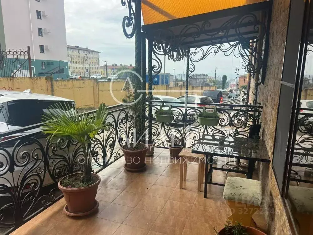 1-к кв. Краснодарский край, Сочи ул. Тимирязева, 46/2 (22.4 м) - Фото 1