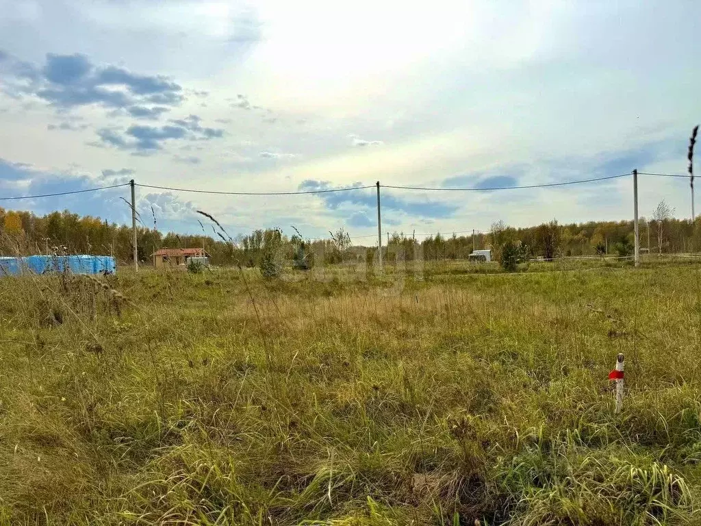 Участок в Новосибирская область, Новосибирский район, Кубовинский ... - Фото 2