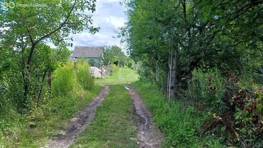Участок в Толмачево, СДТ Русь (5 м) - Фото 0