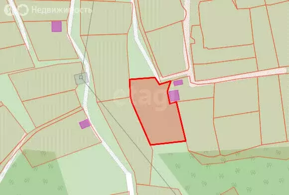 Участок в Новосибирск, СНТ Черёмушки (10 м) - Фото 2