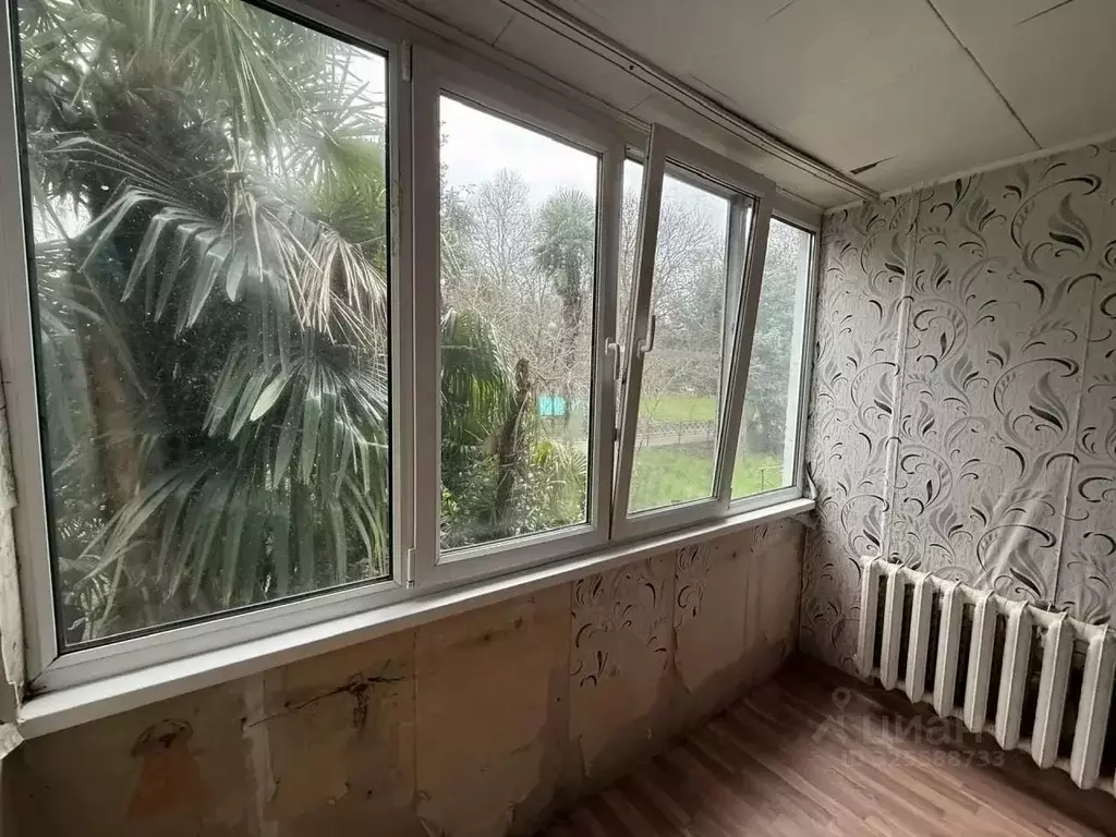 1-к кв. Краснодарский край, Сочи городской округ, Дагомыс пгт ш. ... - Фото 1