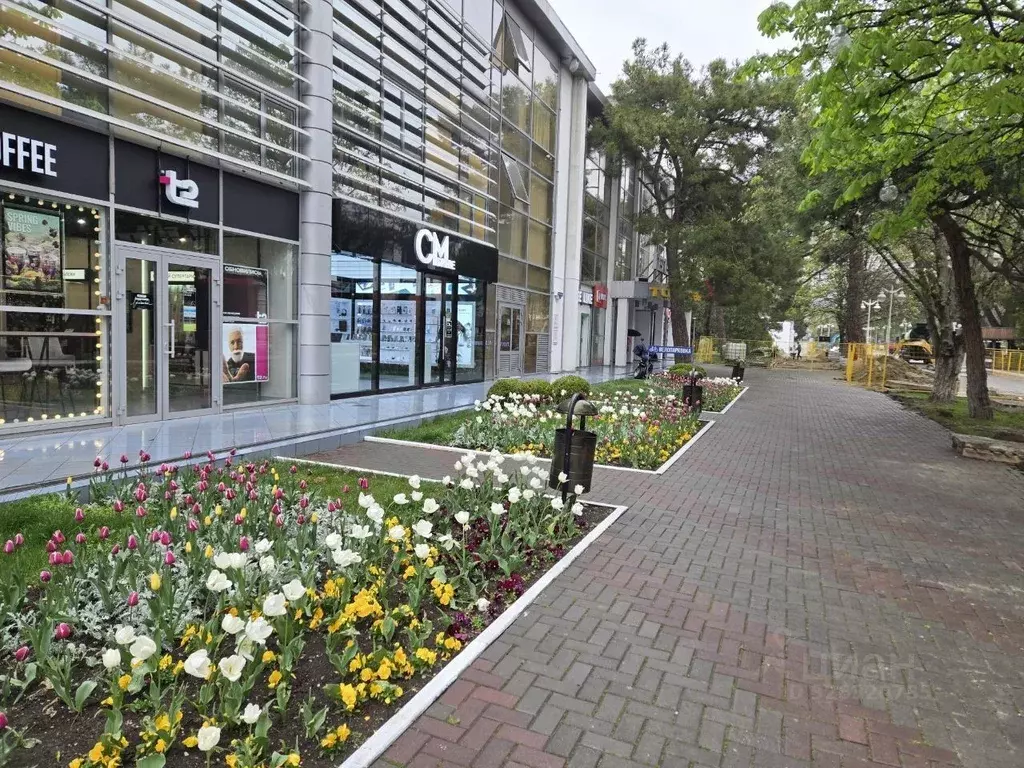 Помещение свободного назначения в Краснодарский край, Геленджик ул. ... - Фото 2