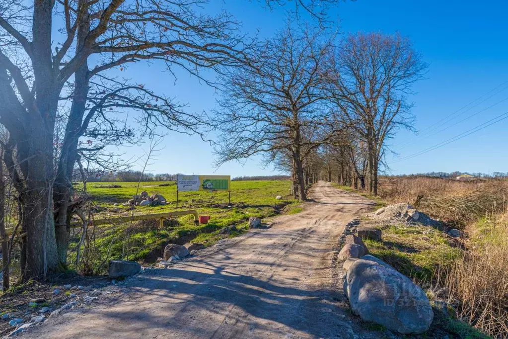 Участок в Калининградская область, Гурьевский муниципальный округ, ... - Фото 2