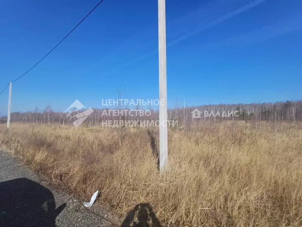 Участок в Рязанская область, Рязанский муниципальный округ, с. ... - Фото 2