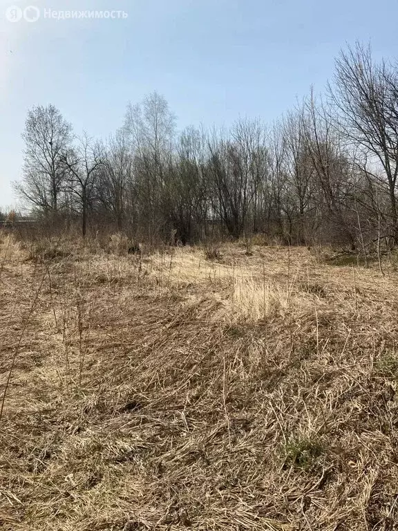 Участок в Мичуринское сельское поселение, село Федоровка (11.259999 м) - Фото 1