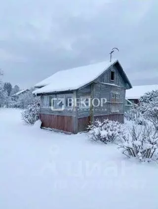 Участок в Костромская область, Кострома Южный-1 СНТ, 46 (6.2 сот.) - Фото 1