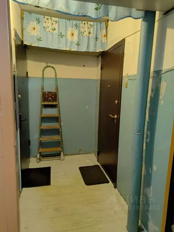 1-к кв. Нижегородская область, Нижний Новгород ул. Баумана, 58 (34.6 ... - Фото 2