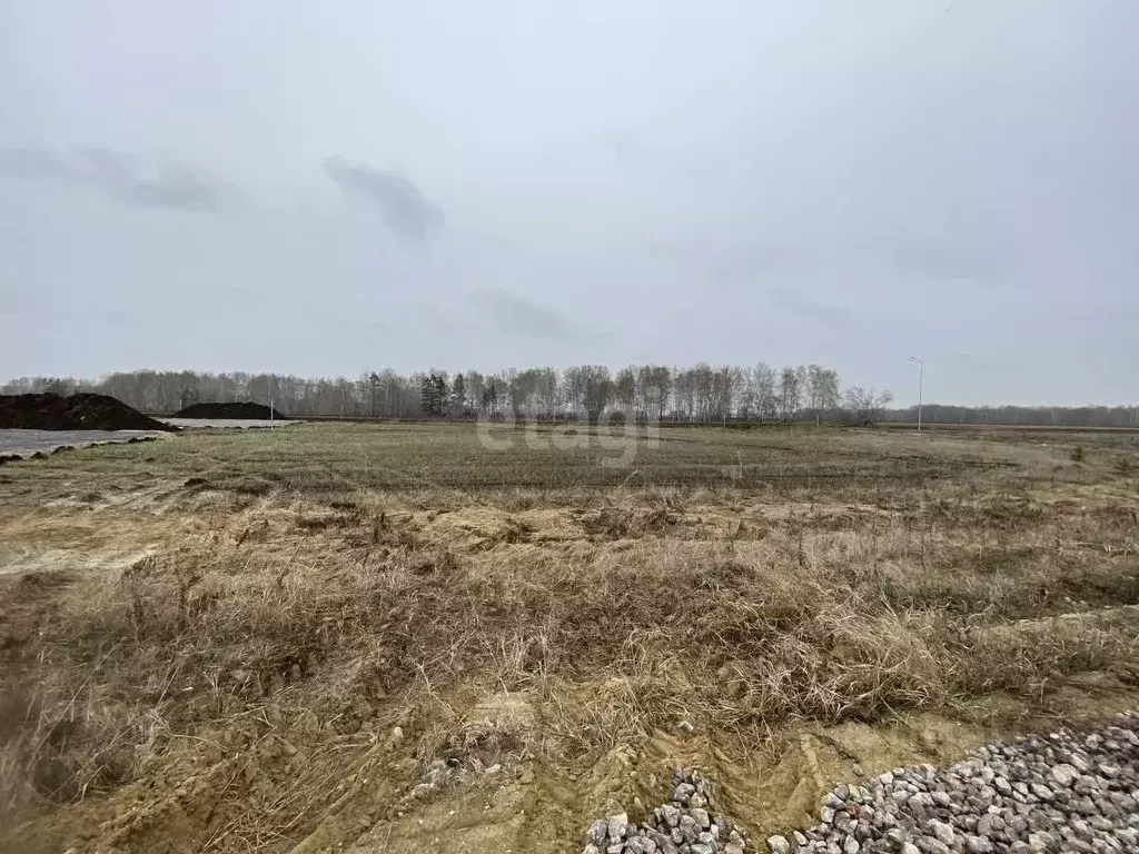 Участок в Тюменская область, Тюменский район, Новокаменский кп  (10.4 ... - Фото 0