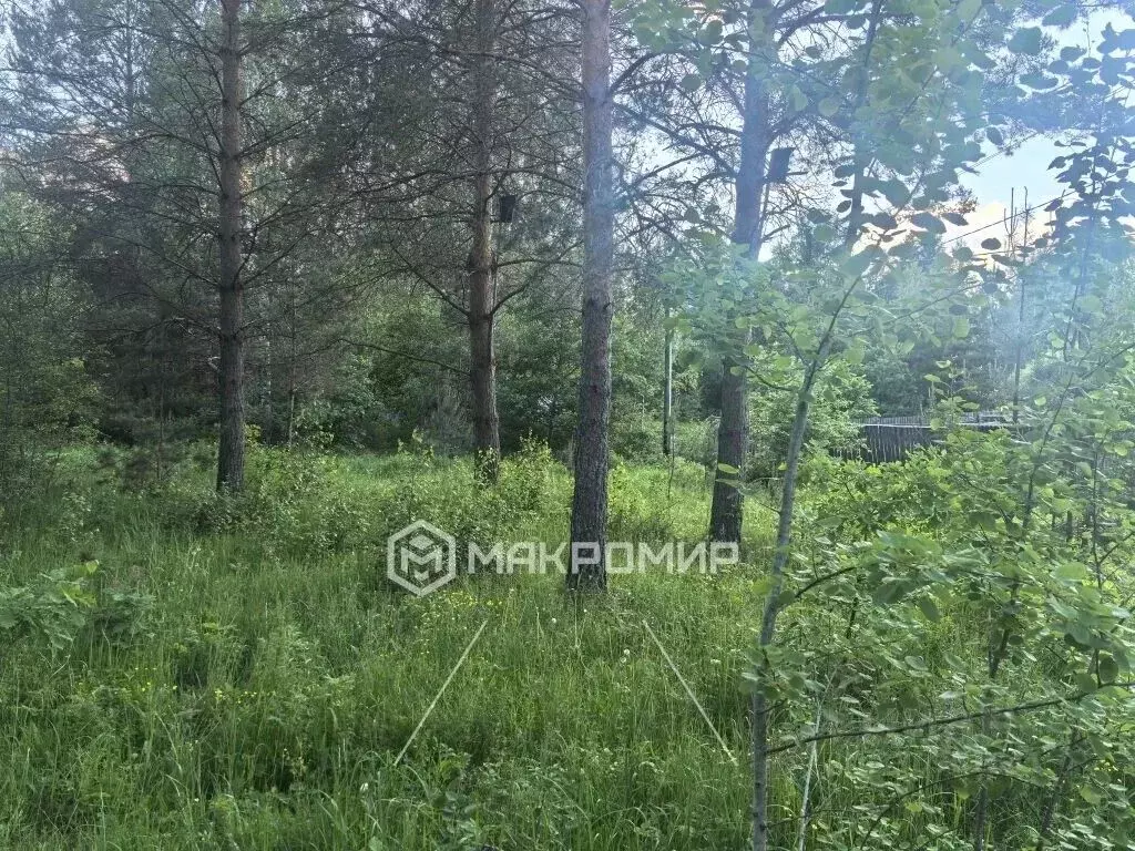 Участок в Брянская область, Октябрьское со  (9.33 сот.) - Фото 1
