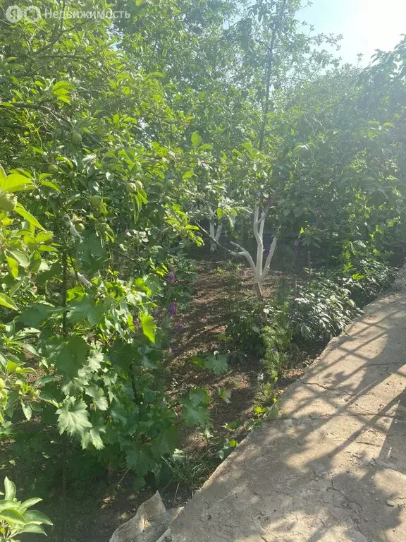 Дом в Ростов-на-Дону, 6-й Хлопковый переулок, 3 (60 м) - Фото 1