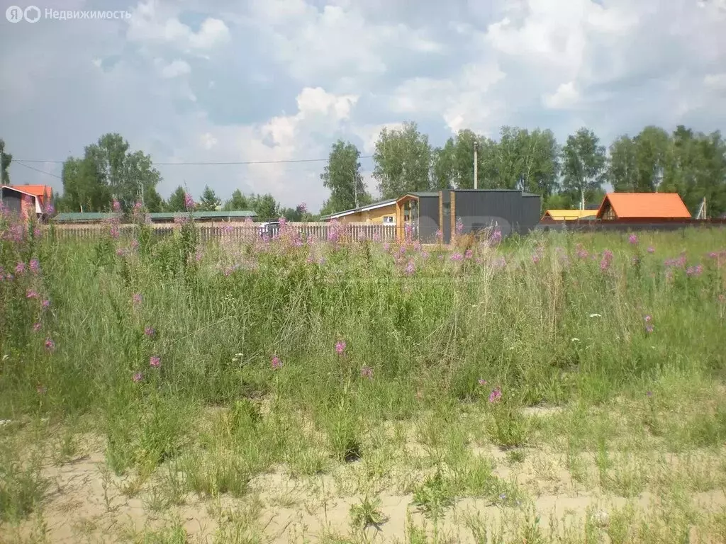 Участок в Свердловская область, Тугулымский муниципальный округ, ... - Фото 1