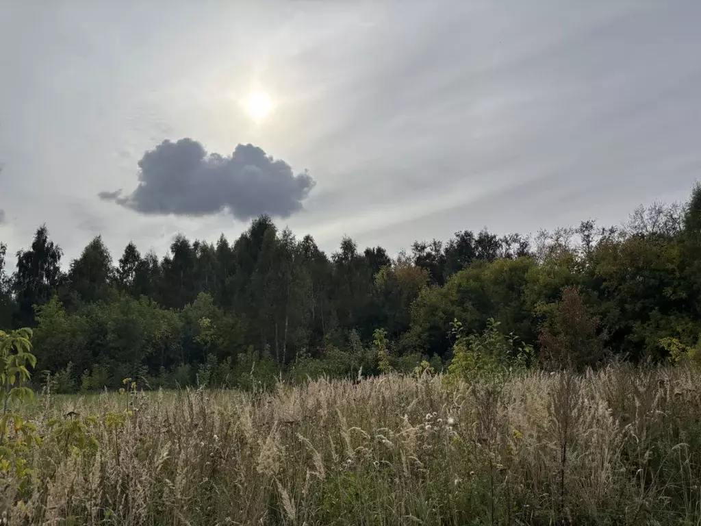Участок в Московская область, Луховицы  (11.87 сот.) - Фото 2