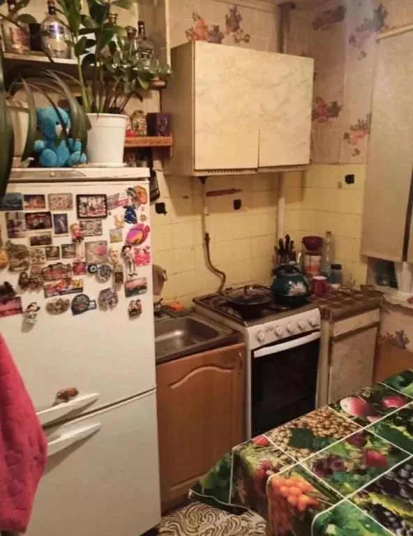 Комната Московская область, Чехов Молодежная ул., 13 (14.0 м) - Фото 1