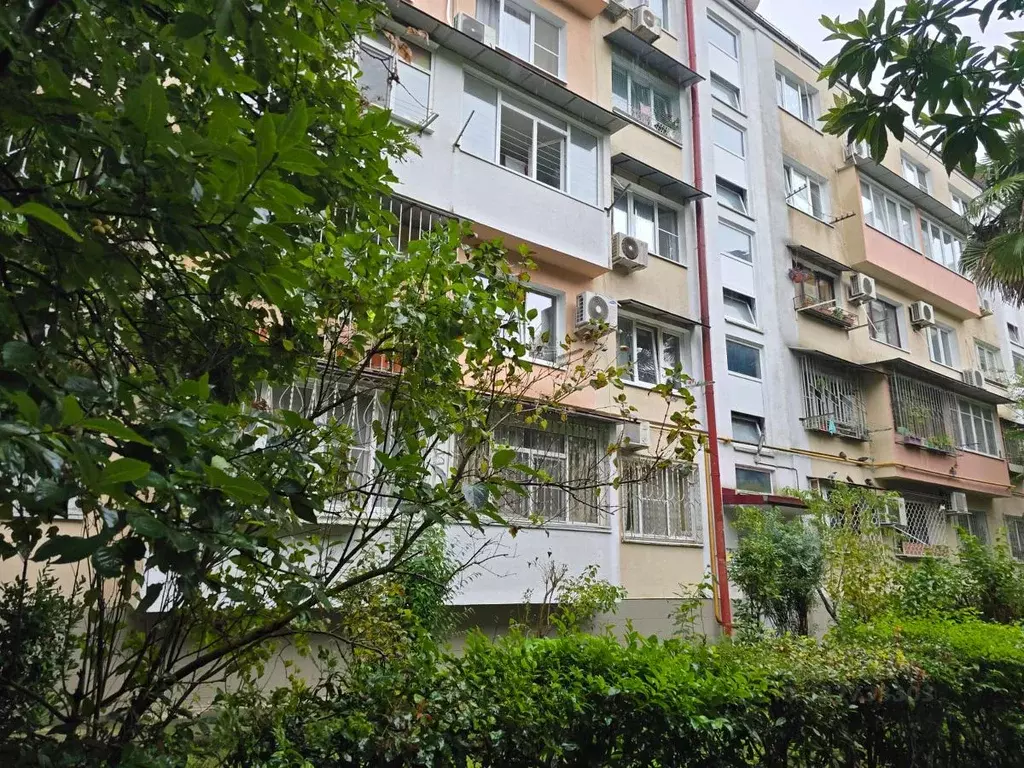 1-к кв. Краснодарский край, Сочи Гагарина мкр, ул. Новоселов (35.0 м) - Фото 1