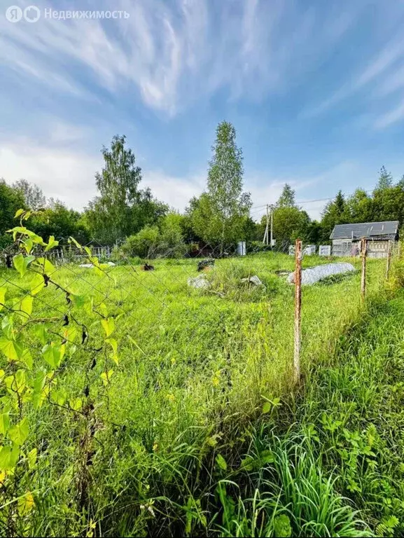 Дом в Смоленск, садовое товарищество Берёзка, 55 (20 м) - Фото 1