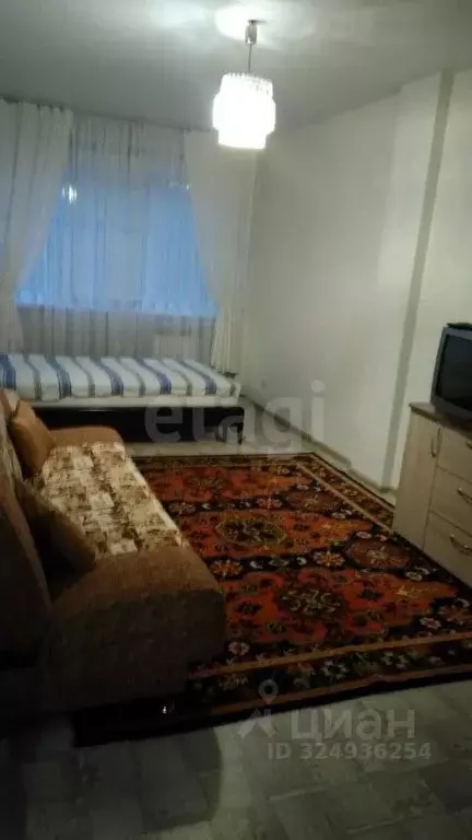 1-к кв. Красноярский край, Красноярск Николаевка мкр, ул. Бабушкина, 2 ... - Фото 1