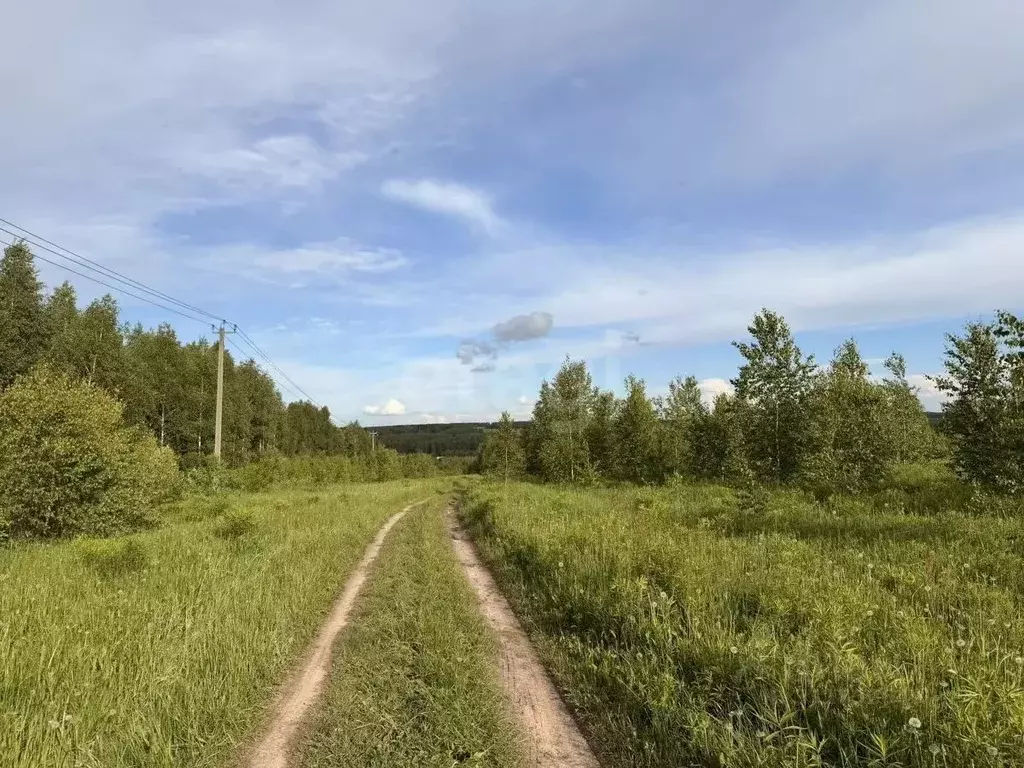 Участок в Нижегородская область, Богородский муниципальный округ, д. ... - Фото 1