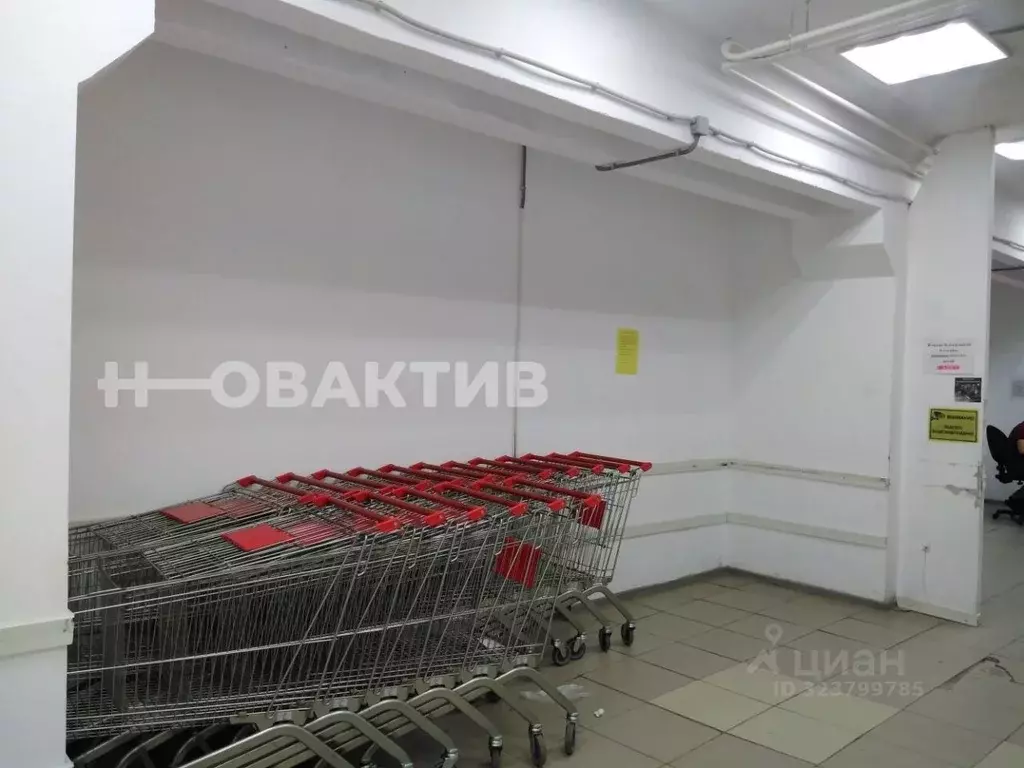 Помещение свободного назначения в Новосибирская область, Новосибирск ... - Фото 0