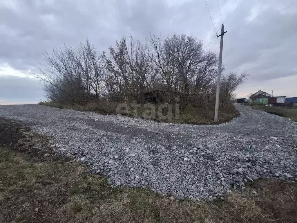 Участок в Воронежская область, Нижнедевицкий район, Верхнетуровское ... - Фото 1