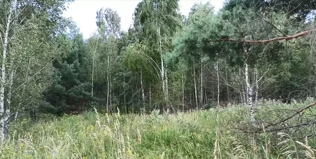 Участок в Московская область, Кашира городской округ, д. Малеево  ... - Фото 1