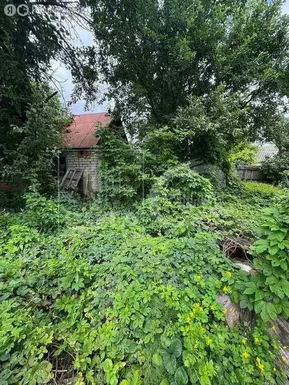 Дом в Воронеж, СНТ Кировец (29 м) - Фото 0