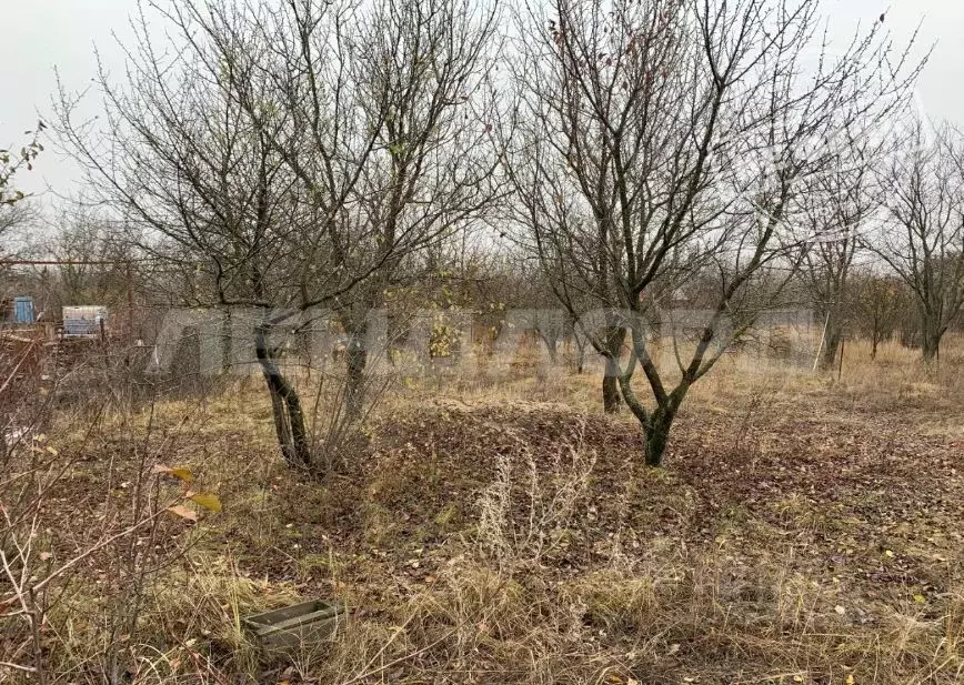 Участок в Ростовская область, Октябрьский район, Кривянское с/пос, № ... - Фото 1