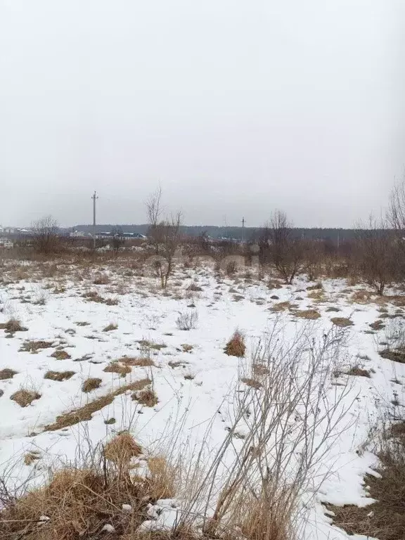 Участок в Курская область, Курский район, Моковский сельсовет, д. ... - Фото 1