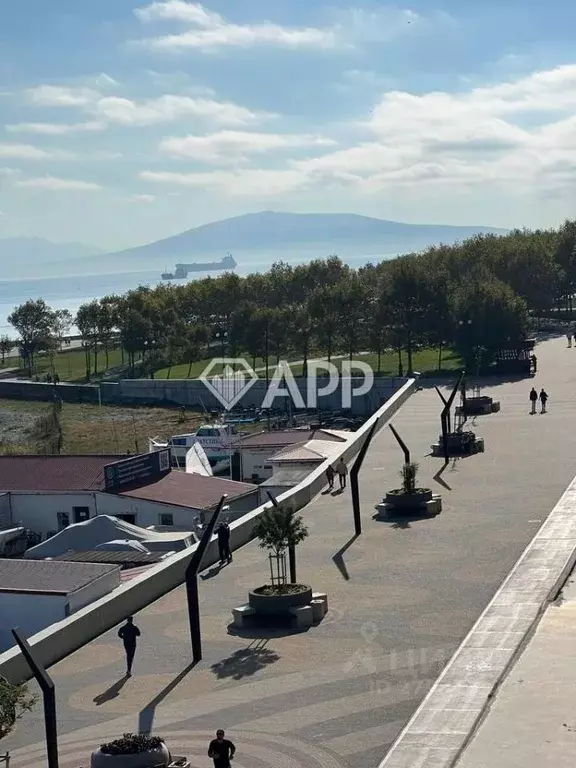 Помещение свободного назначения в Краснодарский край, Новороссийск ... - Фото 1
