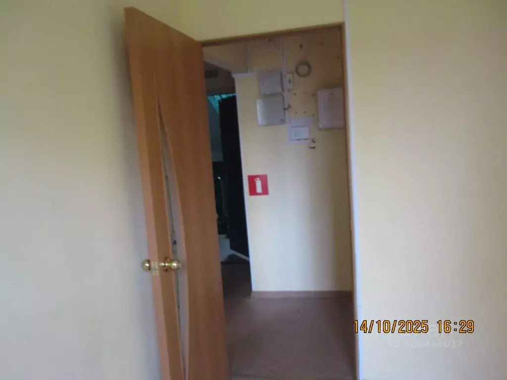 Помещение свободного назначения в Ивановская область, Иваново ул. ... - Фото 1