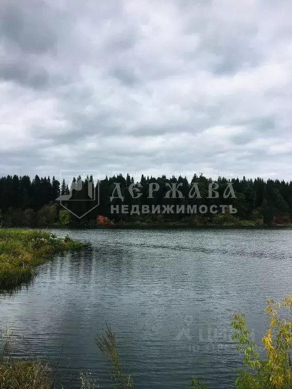 Участок в Кемеровская область, Кемеровский район, с. Андреевка ул. ... - Фото 2