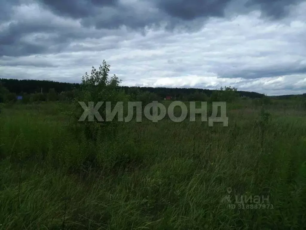 Участок в Новосибирская область, Новосибирский район, Новолуговской ... - Фото 0