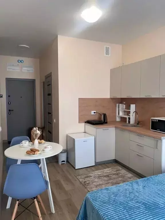 Студия Санкт-Петербург ул. Беринга, 27к6 (25.0 м) - Фото 1