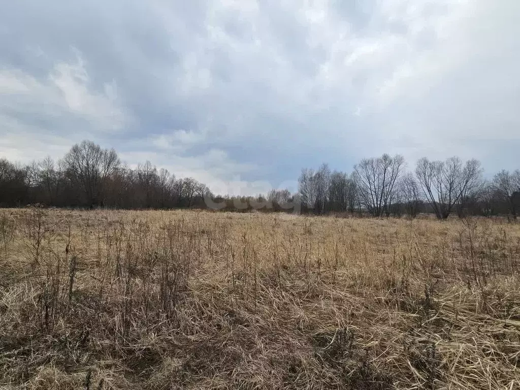 Участок в Московская область, Коломна городской округ, с. Фроловское  ... - Фото 1