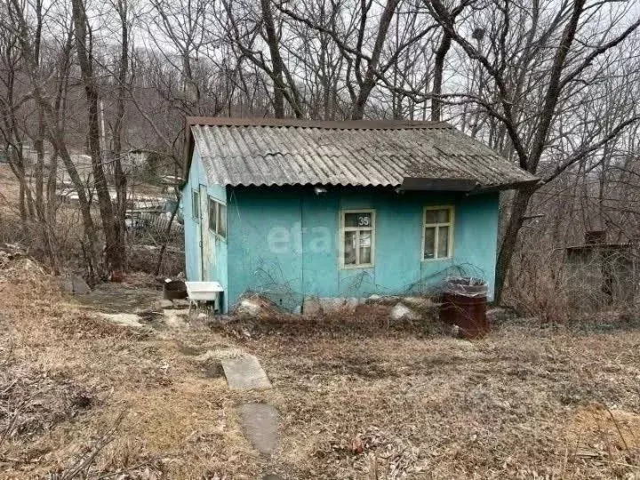 Дом в Приморский край, Надеждинский район, Дацит СНТ  (15 м) - Фото 0
