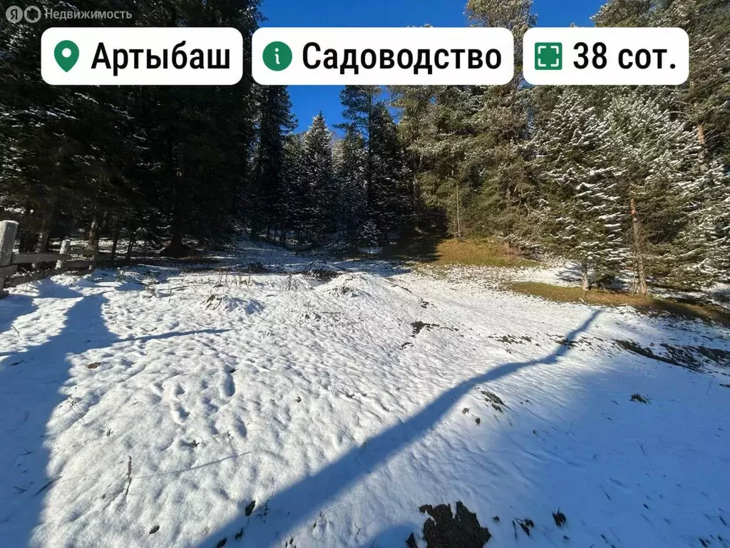 Участок в Турочакский район, село Артыбаш (38 м) - Фото 1