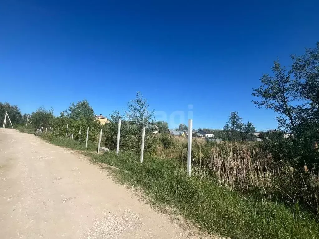 Участок в Владимирская область, Покров городской округ, пос. Городищи  ... - Фото 2