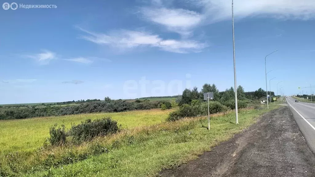 Участок в Республика Мордовия, село Лямбирь (674 м) - Фото 2