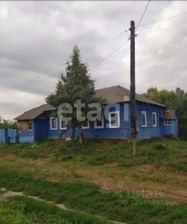Дом в Курская область, Конышевский район, с. Старая Белица 76 (111 м) - Фото 2