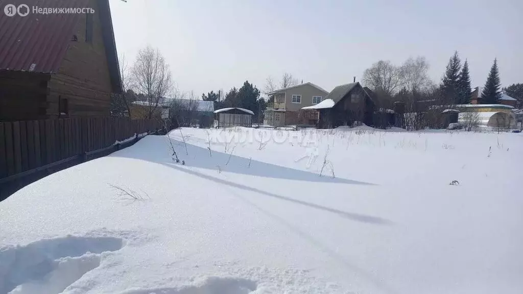 Участок в Новолуговской сельсовет, садовое товарищество Ромашка-Иня (6 ... - Фото 0