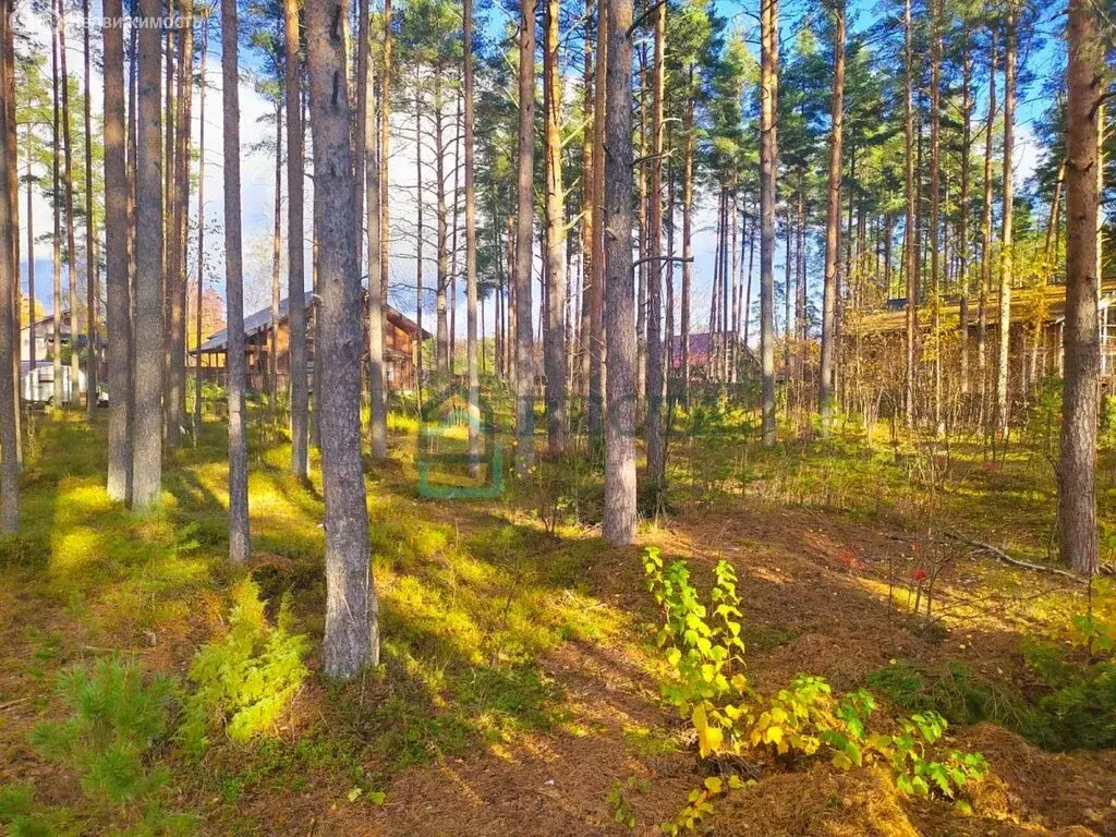 Участок в посёлок Пески, коттеджный посёлок Золотые пески, 153 (20 м) - Фото 0