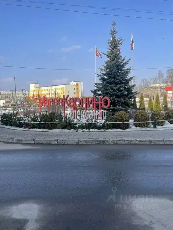 Участок в Ленинградская область, Ломоносовский район, Виллозское ... - Фото 2