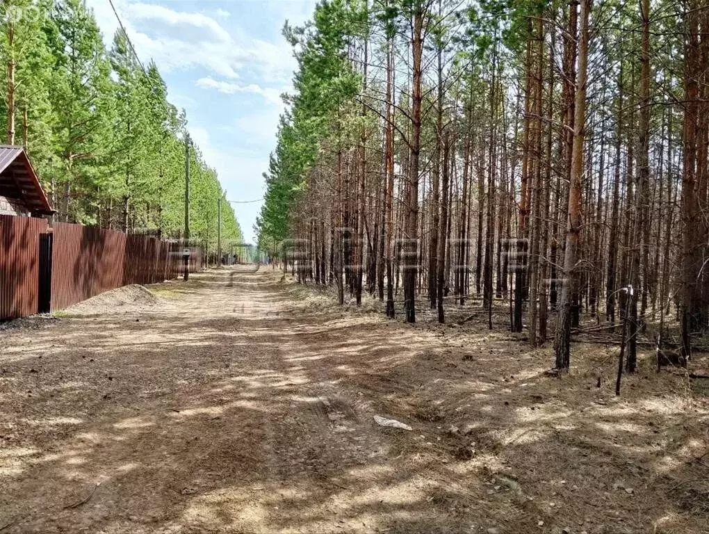 Участок в Емельяновский район, село Устюг (10 м) - Фото 0