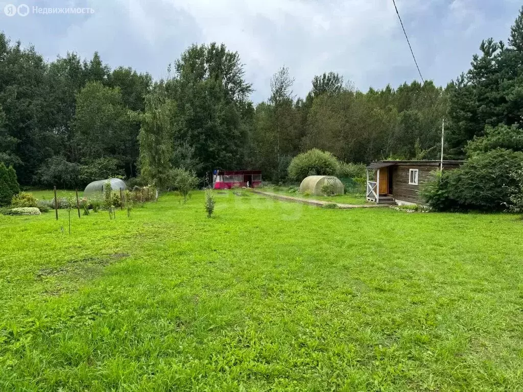 Участок в Псковский район, Ершовская волость, садоводческое ... - Фото 1
