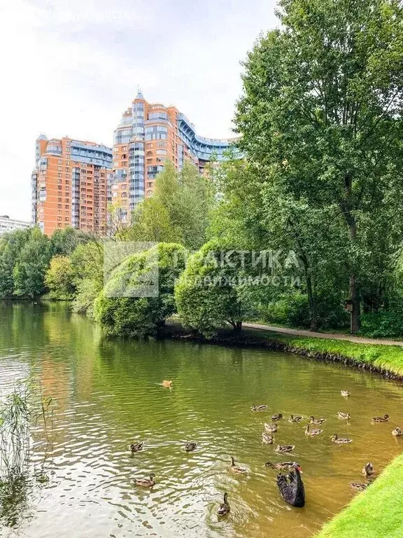 Помещение свободного назначения (83 м) - Фото 2